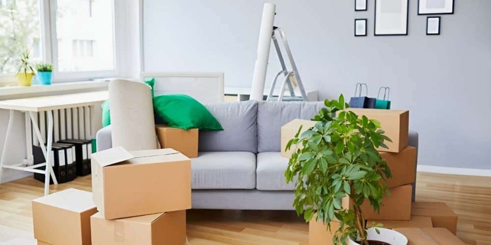 unpacking and organizing